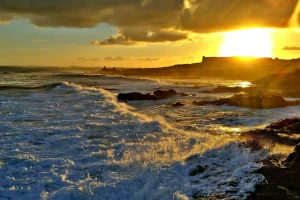 que faire à Al Mahdiya (Tunisie)